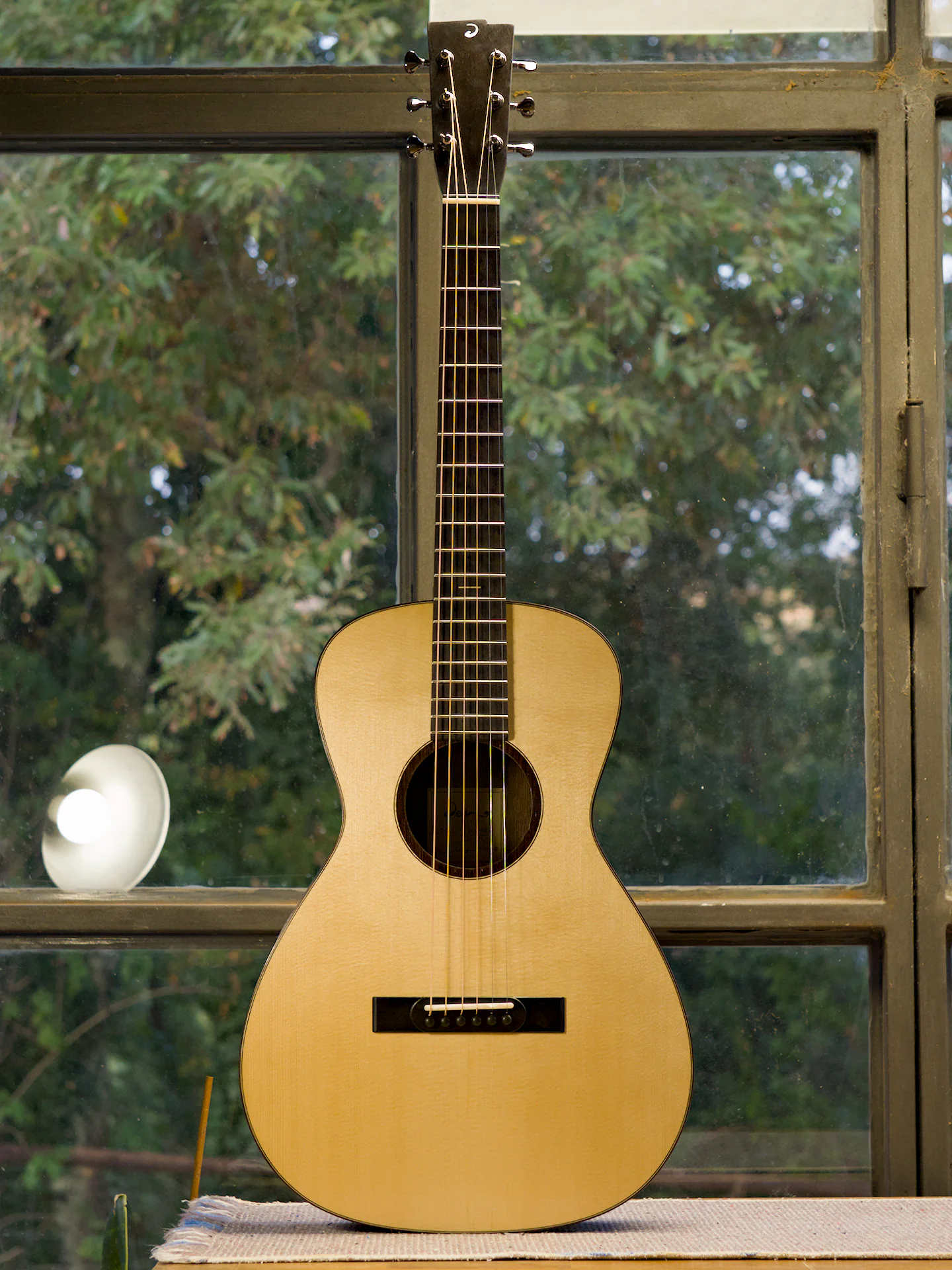 The full Wenge guitar