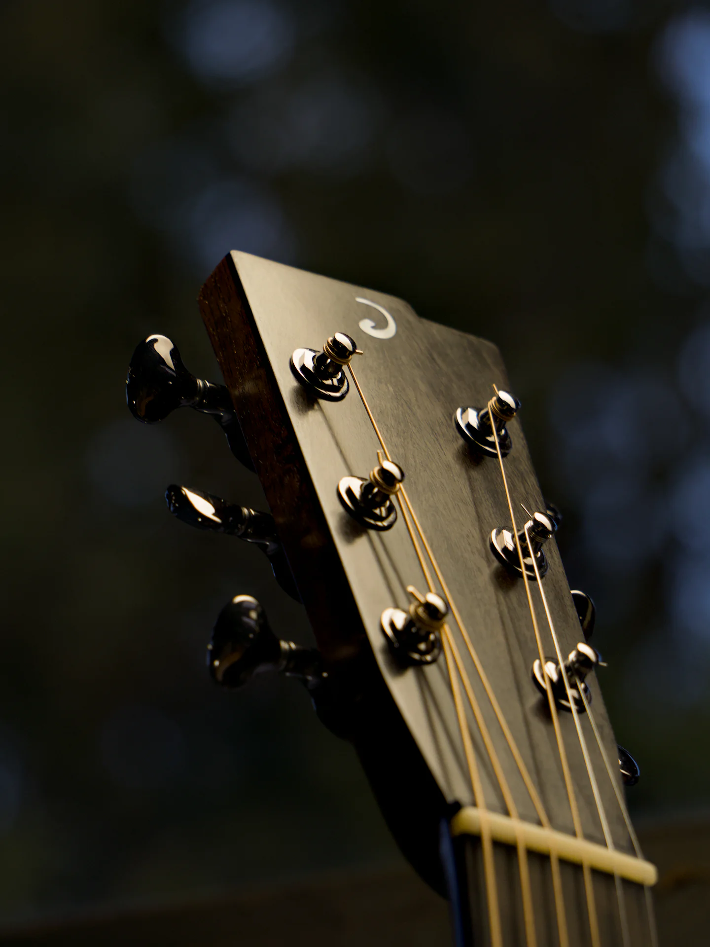 The headstock with the Mother of Pearl 'D' Logo