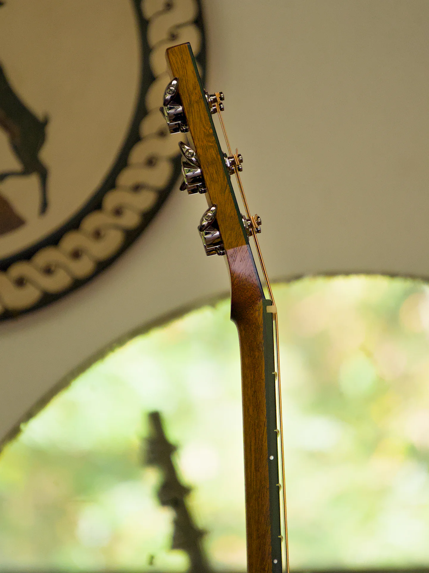 The side view of the neck volute
